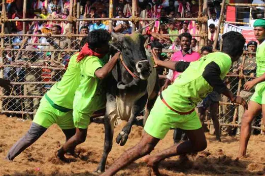 அலங்காநல்லூரில் பட்டையை கிளப்பிய ஜல்லிக்கட்டு : அடக்கப்பாய்ந்த வீரர்கள்... பறக்கவிட்ட காளைகள்