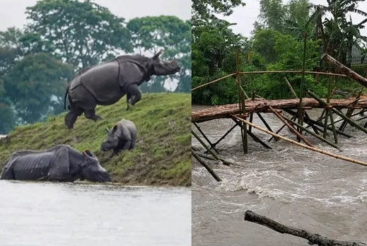 கொரோனா காலத்தில் வெளுத்து வாங்கும் கனமழை : அசாம் வெள்ளத்திற்கு 20 பேர் பலி