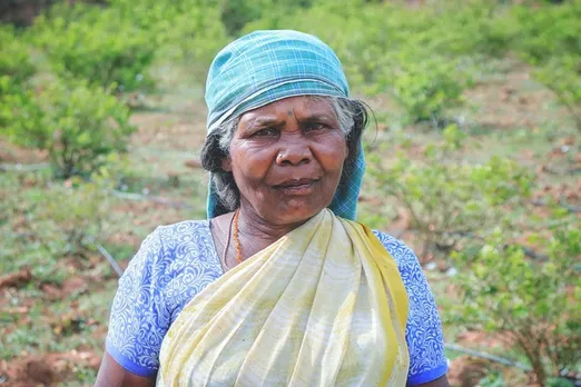 Coronavirus lockdown public transportation restrictions impacted daily life of Irular tribes in Coimbatore