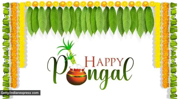 Happy Pongal: பொங்கல் வாழ்த்து தெரிவிக்க அழகான புகைப்படங்கள், வாசகங்கள் இங்கே