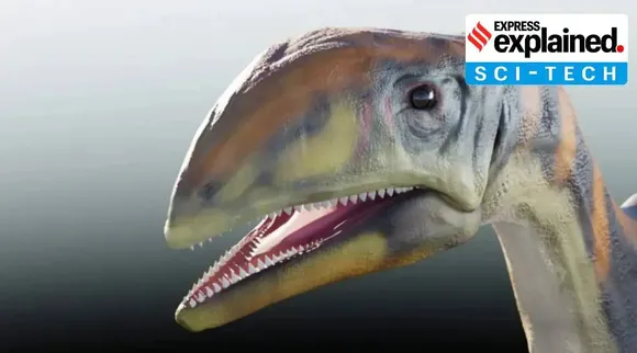 The two-legged Issi saaneq, Issi Saaneq New Dinosaur species, Issi Saaneq Dinosaur lived about 214 million years ago, இஸ்ஸி சானெக், புதிய டைனோசர் இனம், 214 மில்லியன் ஆண்டுகளுக்கு முன்பு கிரீன்லாந்தில் வாழ்ந்த புதிய டைனோசர் இனம், long necked herbivore, sauropods, Issi Saaneq New Dinosaur species Greenland