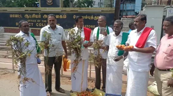 கலெக்டர் அலுவலகம் முன்பு 5 ரூபாய்க்கு தக்காளி விற்பனை… விவசாயிகள் நூதன ஆர்ப்பாட்டம்