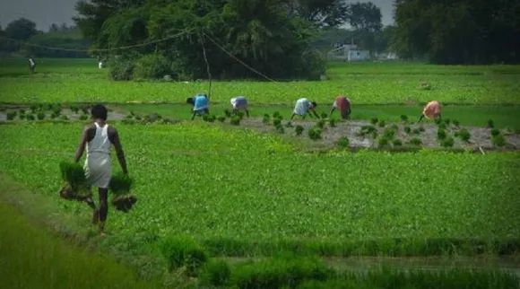 விவசாயிகள் குறை தீர்க்கும் கூட்டம்: ராமநாதபுரம் கலெக்டர் அழைப்பு