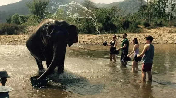 யானையைக் குளிப்பாட்டும் வெளிநாட்டவர்; 2-வது யானையை 3 நொடியில் கண்டுபிடிக்க சவால்!