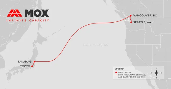 MOX Networks
