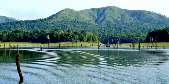 Thekkady Lake, Thekkady 