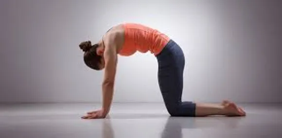 Yoga Poses for Migraine