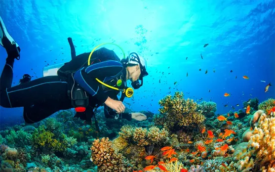 The Sea World Aquarium, Rameshwaram