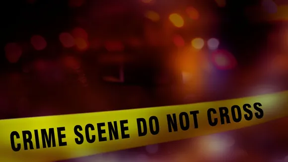 Crime in Delhi, but Who is Writing?