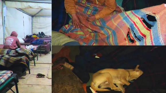 Night Shelter Horror