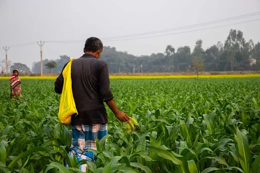 Why is there a shortage of fertilisers in Bihar?