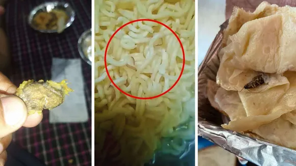 Food Safety, A Major Concern: Eraser In Samosa, Worms In Noodles, Cockroach In Omelette