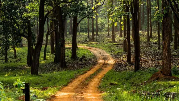 Forest (Conservation) Amendment Bill 2023: A New Era or the End for India's Forests?