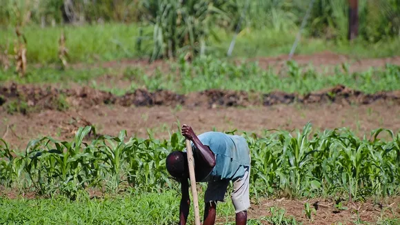 Malawi Farmers Embrace Cash Transfer Program to Enhance Food Security