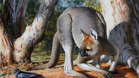 Near-Complete Fossil of Extinct Short-Faced Kangaroo Discovered in Australian Cave