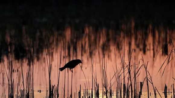 Biden Administration Sets Goal to Protect U.S. Rivers and Wetlands for Earth Week