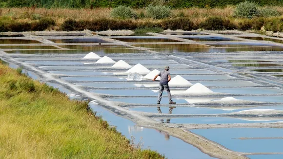 Confagricoltura and Italian Marine Saltworks Launch Project to Recognize Salt Farming as Agriculture