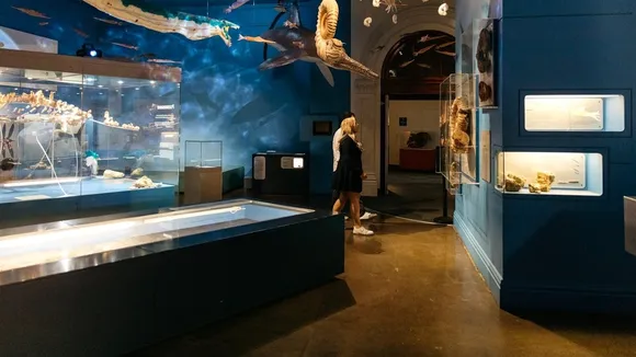 South Australian Museum Faces Backlash Over Plans to Cut Research Positions