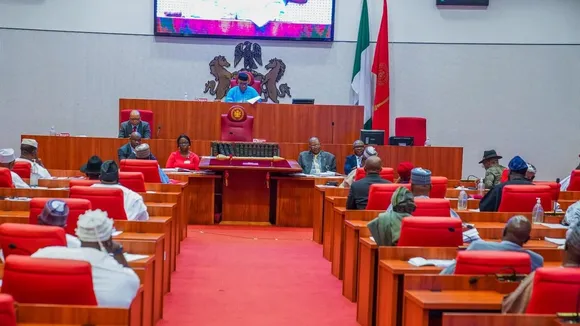 Nigerian Senate to Meet with Power Minister Over 300% Electricity Tariff Hike