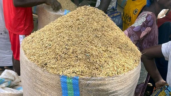 Soaring Staple Food Prices Exacerbate Food Insecurity in Nigeria