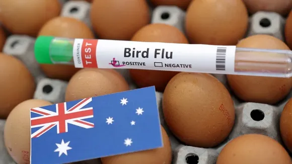 Third H7N3 Bird Flu Outbreak Hits Poultry Farm Near Melbourne, Australia