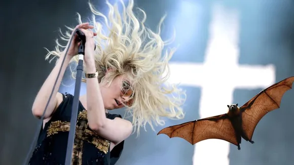 Taylor Momsen Bitten by Bat During Sevilla Concert, Requires Rabies Shots