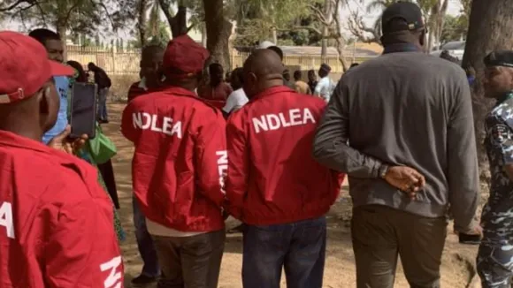 NDLEA Seizes 115 Tons of Drugs, Arrests Thousands in Nigeria