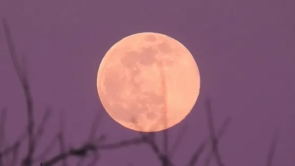 Pink Moon to Illuminate Night Sky from Tuesday Through End of Week