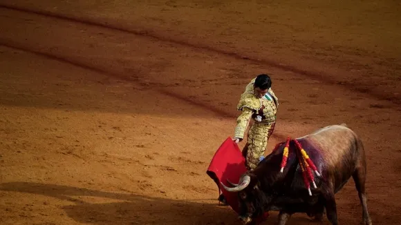 Spain Abolishes Bullfighting Award Amid Animal Welfare Concerns