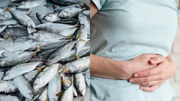 Dr. Abdul Moneim Ibrahim Warns IBS Patients About Risks of Salted Fish Consumption