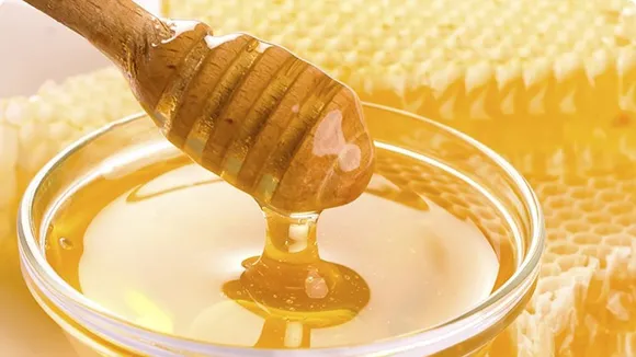 Moldovan Beekeepers Struggle as Wholesalers Exploit Honey Market