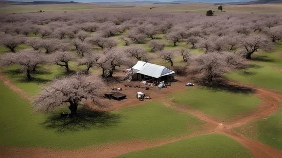 11-Year-Old Boy Killed in Shooting at South African Cherry Farm