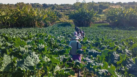 UNDP Donates $82,000 in Goats and Equipment to Zimbabwe Agricultural College