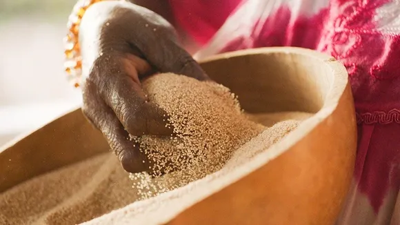 Bill Gates Sees Potential in Millets to Fight Malnutrition and Climate Change