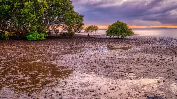 Australian Environment Minister Rejects $1.4 Billion Toondah Harbour Development to Protect Quandamooka Heritage