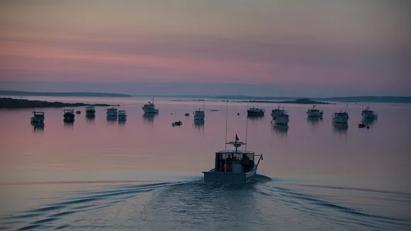 Biden Administration's Ocean Conservation Claims Disputed by Advocates