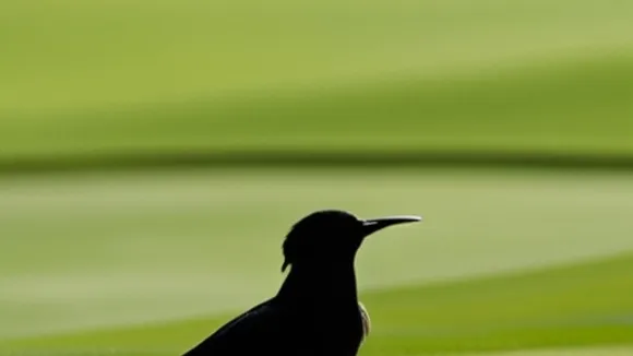 Golfer's Approach Shot Tragically Kills Bird at U.S. Women's Open