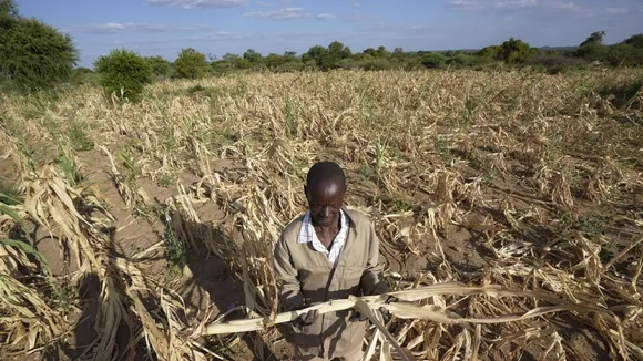 El Niño-Induced Droughts Strain Agriculture and Water Supply