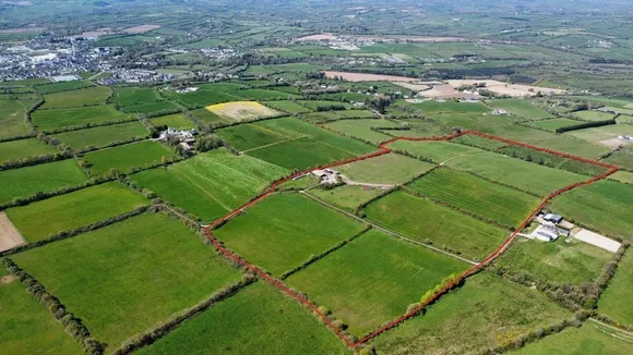 61-Acre Farm in North Cork Hits the Market for €15,000-€17,000 per Acre