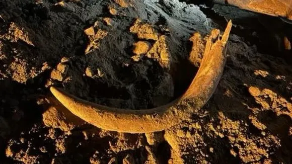 Mammoth Tusk Unearthed in Kyrgyzstan's Issyk-Kul Region