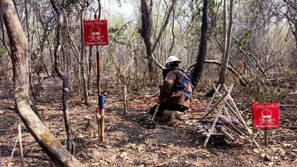 Cambodian Deminers Unearth Three Civil War-Era Landmines Embedded in Tree Trunk