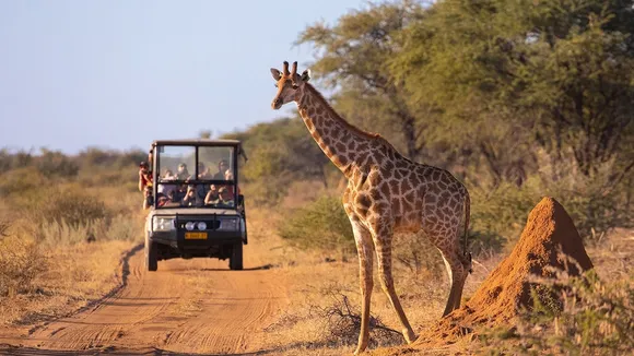 Southern Africa's 4x4 Safari Market Thrives Amid Rising Self-Drive Adventures