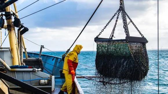 FAO Calls for Collaborative Efforts to Reduce Pressure on Fishery Resources