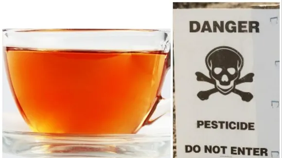 FDA Recalls Over 877,000 Yogi Tea Bags Due to Excessive Pesticide Residues