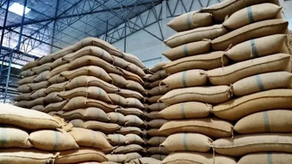 Balochistan Approves Rs5 Billion for Wheat Procurement