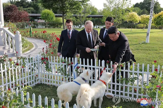 Kim Jong-un Gifts Vladimir Putin Pair of Pungsan Hunting Dogs