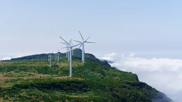 Kāpiti Coast District Council Offers $100,000 in Climate Action Grants