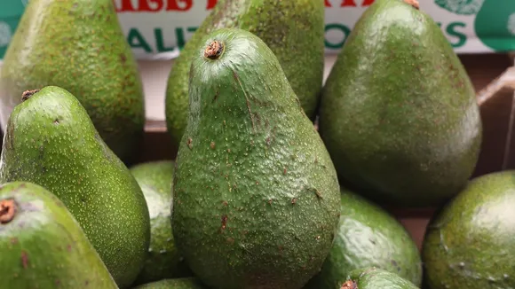 Tesco Trials Laser-Etched Avocados to Reduce Plastic Waste
