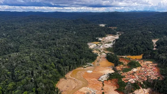 Documentary Exposes Illegal Gold Mining in Amazon Rainforest