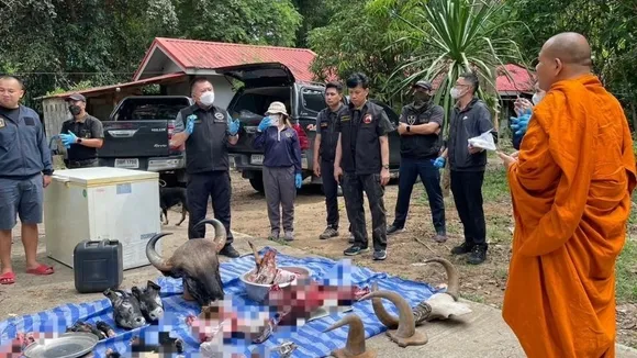 Thai Temple Abbot Caught with Endangered Wildlife Carcasses in Raid
